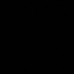 Meet your Posher, Massimo